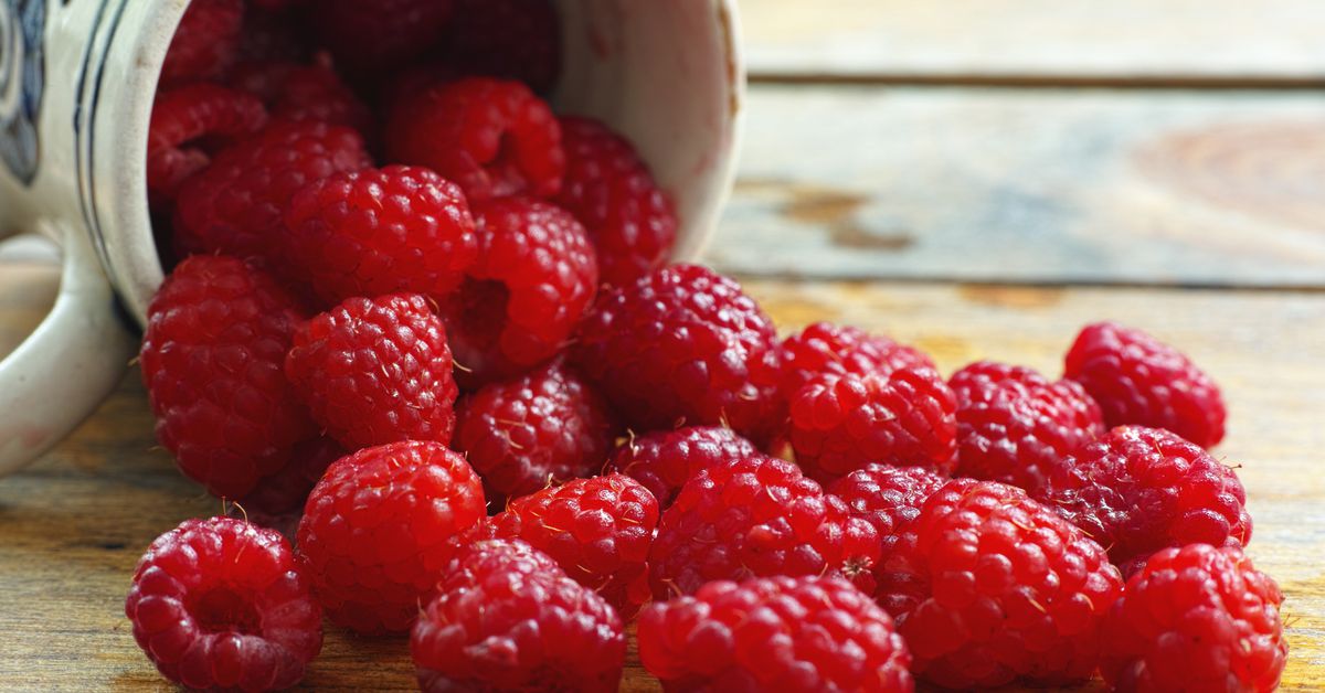 Raspberries  Are Powerful Antioxidants, Great Addition To Your Diet photo