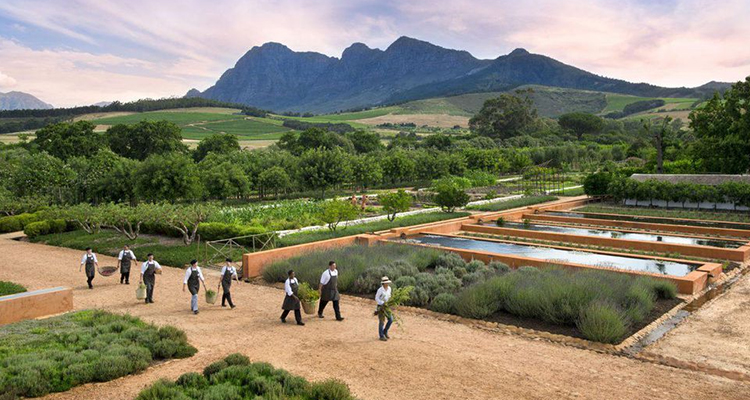 The 10 Best Wine Farm Destinations In The Cape photo