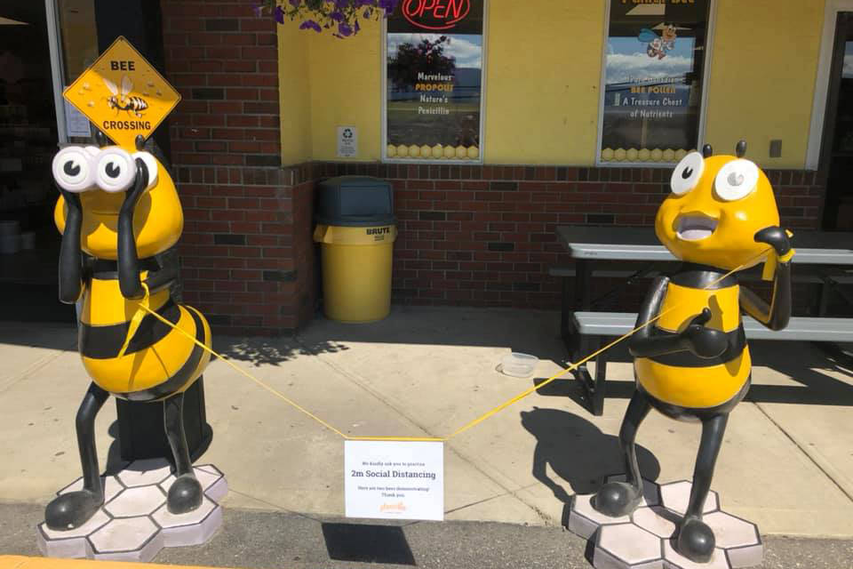 Thief Buzzes Off With Bee Sculptures From Vernon Honey Farm photo