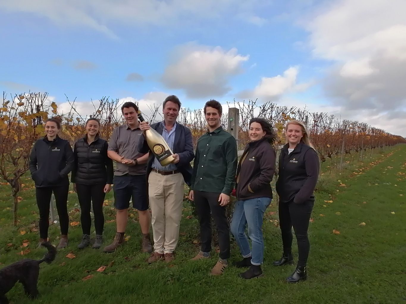 Dorset Vineyard Beats Top Champagne Brands In International Wine Competition photo
