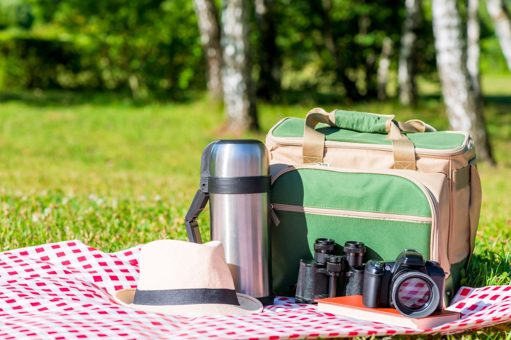 The Best Drinks For Cooler Bags photo
