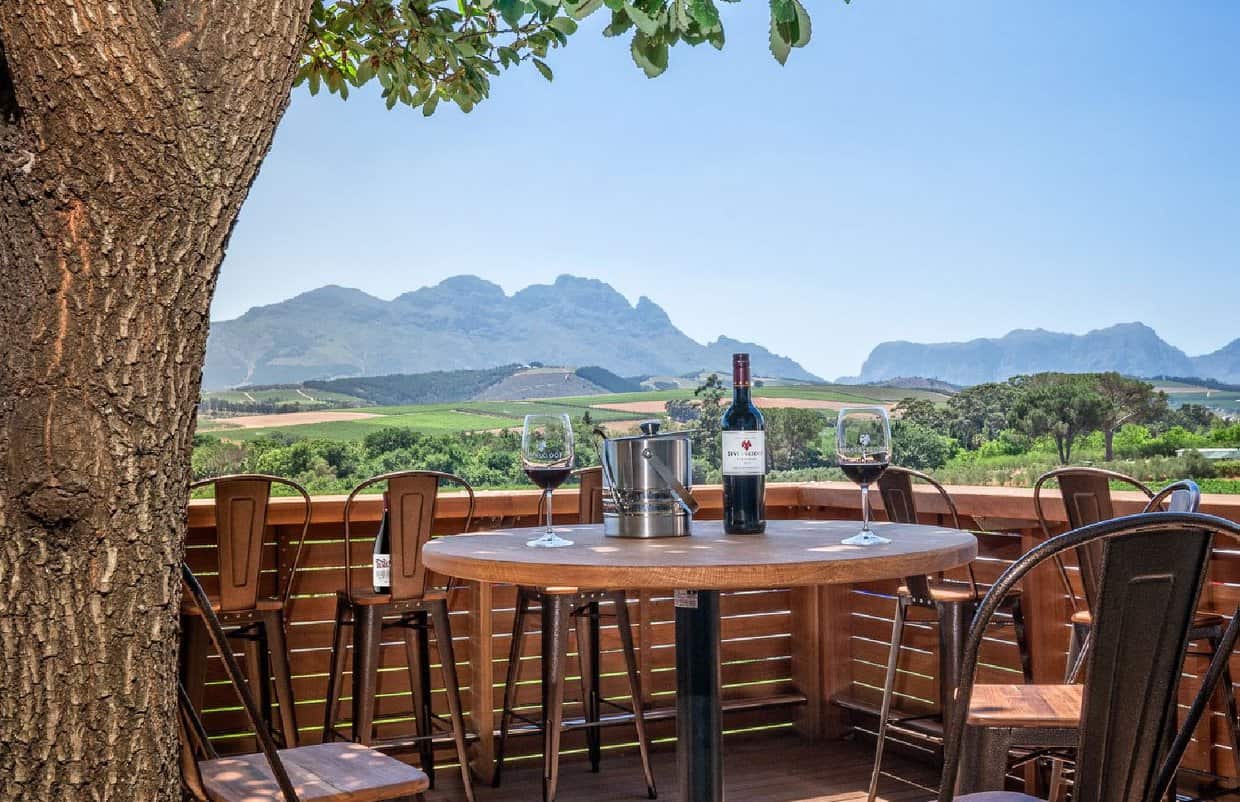 South African Wine: Beyerskloof Wine Estate Is The King Of Pinotage photo
