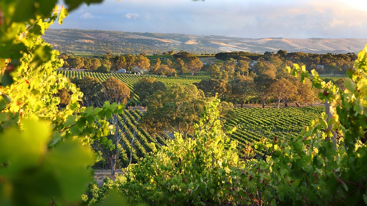 The Best Aussie Wine Regions To Visit If You Could Use A Drink After 2020 photo