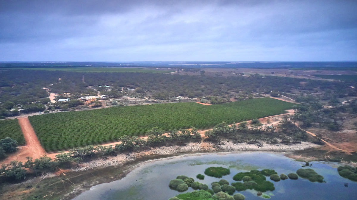 Australian Wine Industry ‘not All Doom And Gloom’ photo
