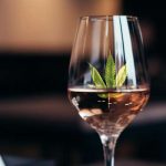 What Alcohol Brands Need To Know About Cannabis Consumers photo