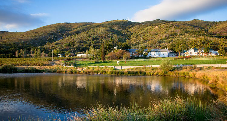 Discover A Slew Of Hidden Gems On The Paarl Wine Route photo