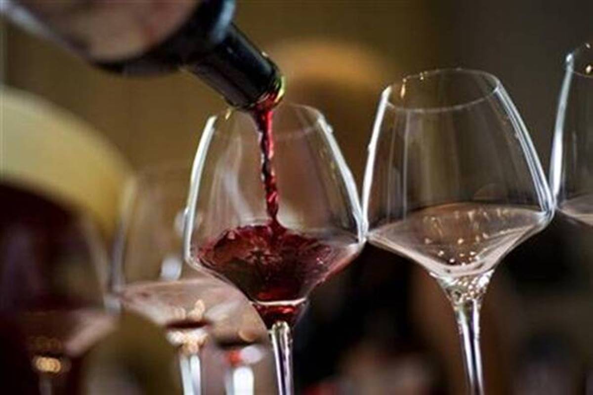 Wine Tourism Picks Up In Nashik Towards End Of The year photo