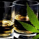 Distell Invests In Dagga Business Amid Crippling Booze Ban photo
