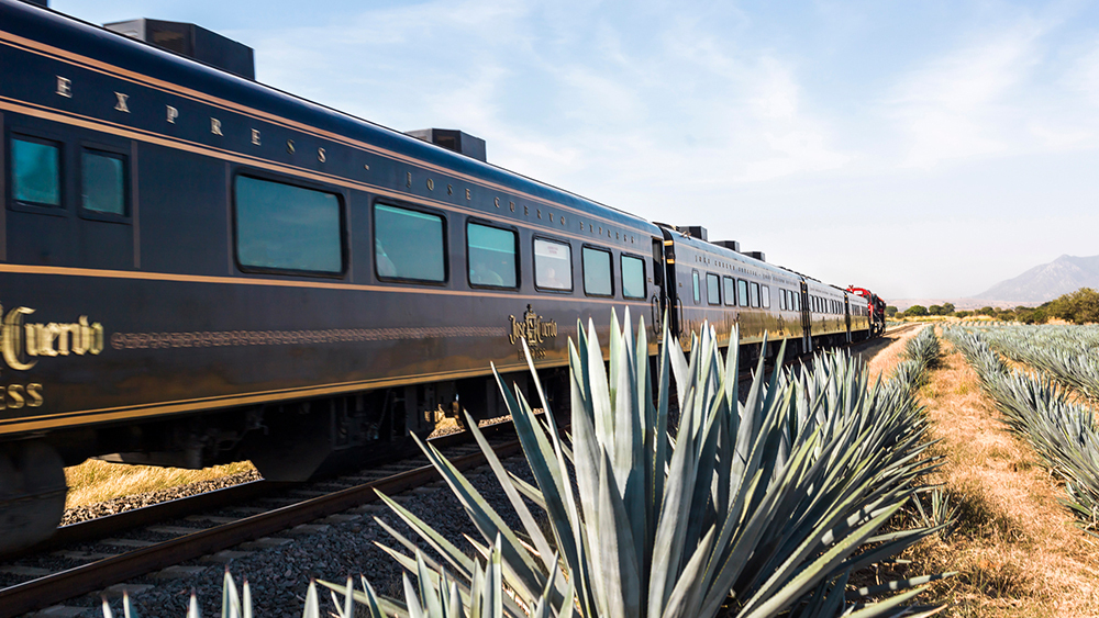 Meet The Tequila Train, A Luxe Ride To Mexico That Serves Bottomless Tipples Of Your Favorite Agave Spirit photo