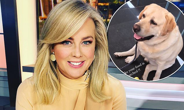 Sam Armytage Jokes Her Portly Labrador Is Going To Steal Her Breakfast photo