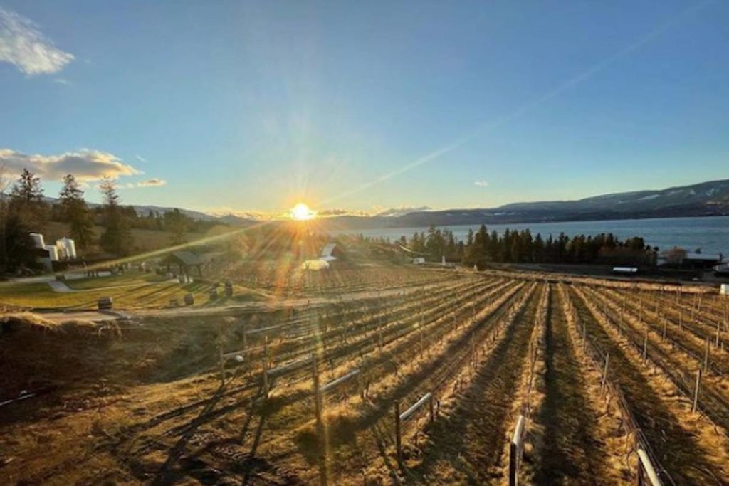 Fear Of ‘hotel In A Vineyard’ Prompts Kelowna Council To Defer Culinary School Decision photo