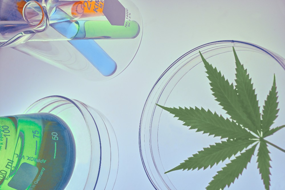 How To Pass A Marijuana Drug Test In Modern Times photo