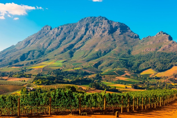 5 Amusing Facts About Stellenbosch Wine Routes photo