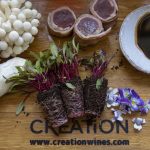 Indulge In The Creation Aromatic Winter Experience photo