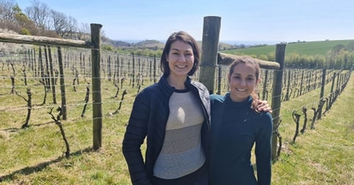 Sisters ‘so Happy’ As Folkestone Vineyard Named One Of Uk’s Best For Visitors photo