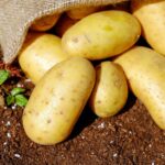 Fighting COVID-19 And Heart Disease With Potatoes photo