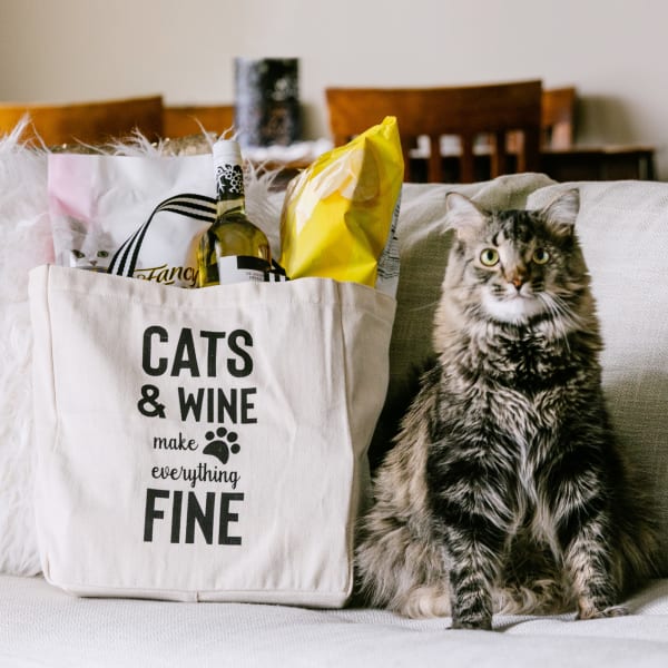 Cats And Wine Make Everything Fine photo