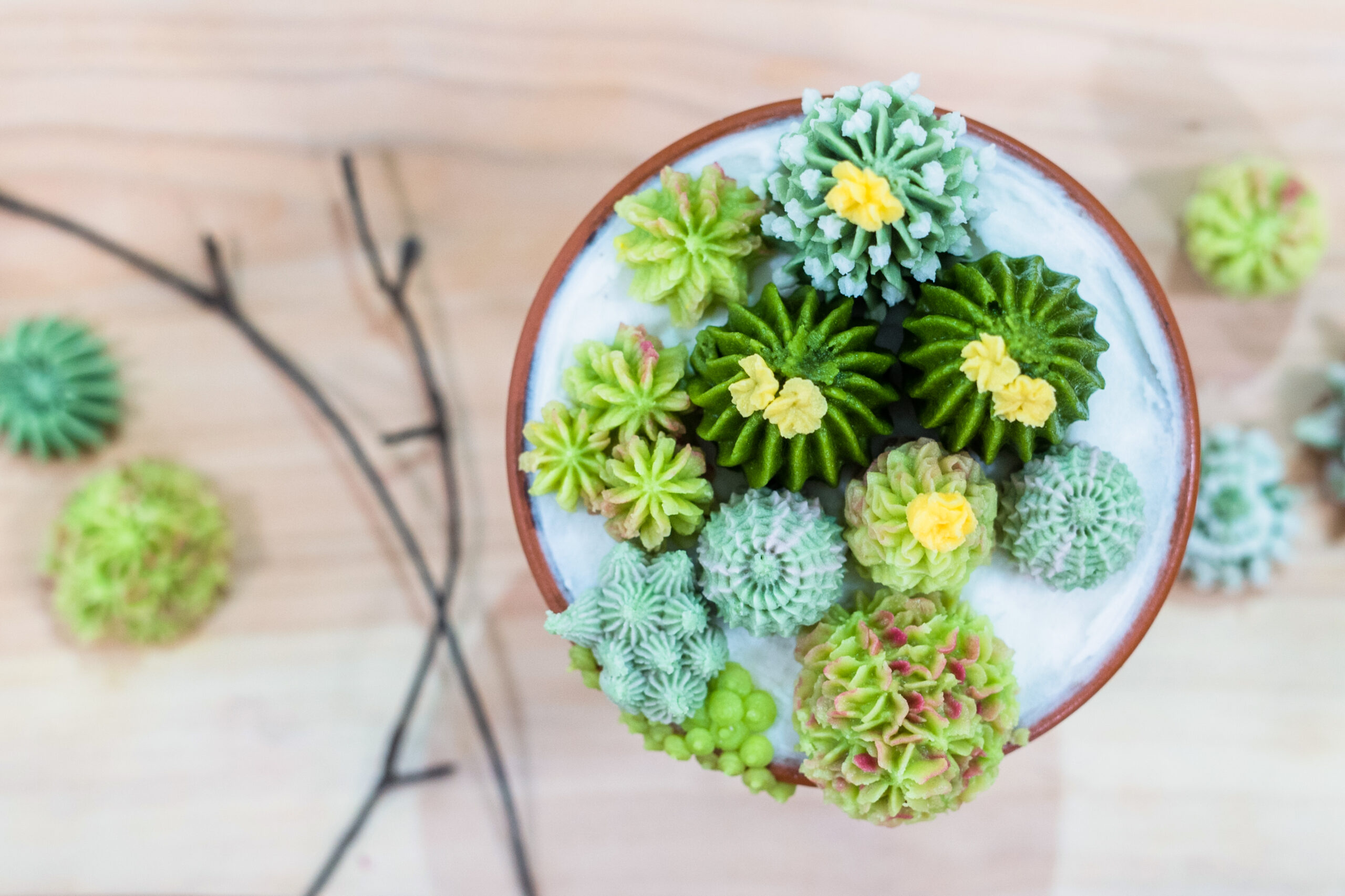 Creating Cupcakes That Look Like Summer Succulents photo