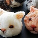 A Bento Box For Humans Who Love Cats, Art And Rice Balls photo