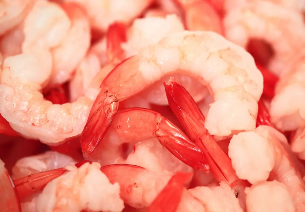 Lab-grown Prawn Meat Will Cost An Arm And A Leg photo