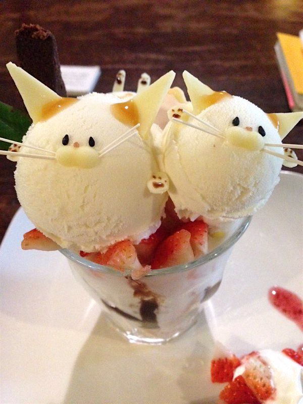 Cat Parfaits That Are Just Too Cute To Eat! photo
