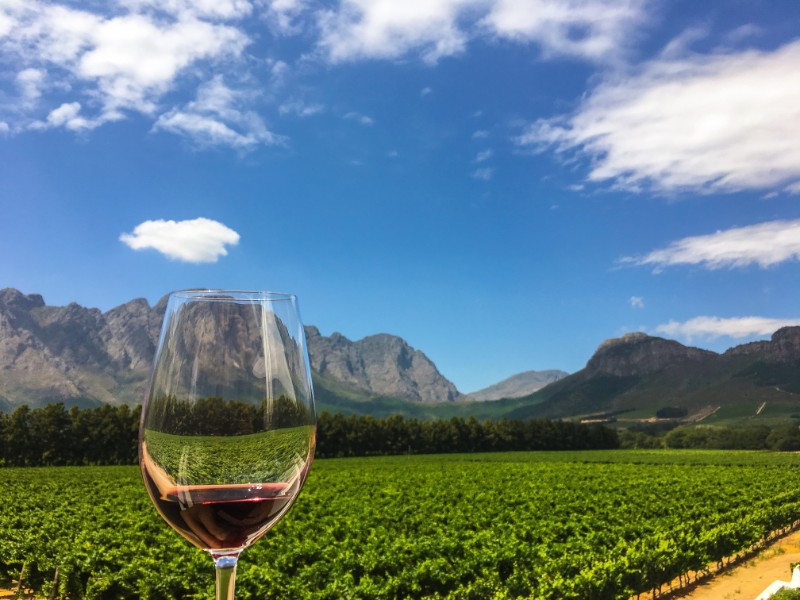 Here’s How Much More You’ll Pay For Popular South African Wines Overseas photo