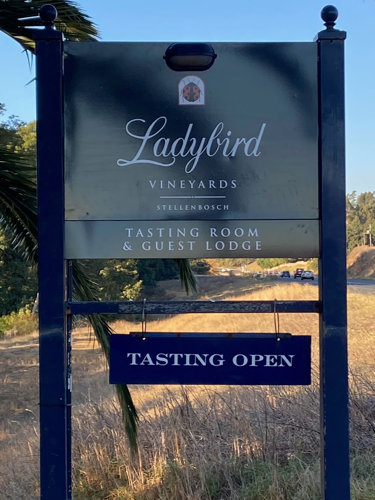 Laibach Estate Becomes Ladybird Vineyards photo