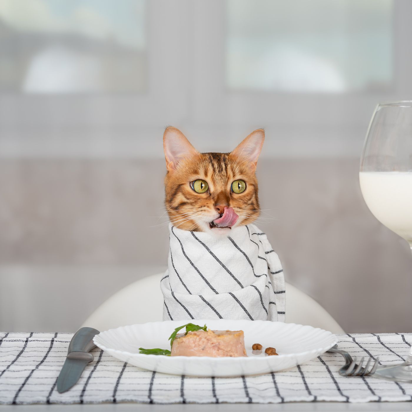 Fancy Feast Is Hosting A Pop-up Restaurant For Humans, With A Menu Inspired By Cat Food photo