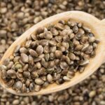 Are Cannabis Seeds Legal? photo