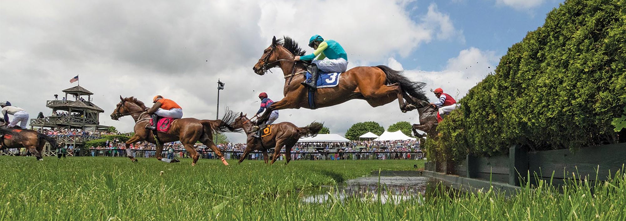 The Spirit of the Sport: Why Horse Racing is More Than Just a Gamble photo