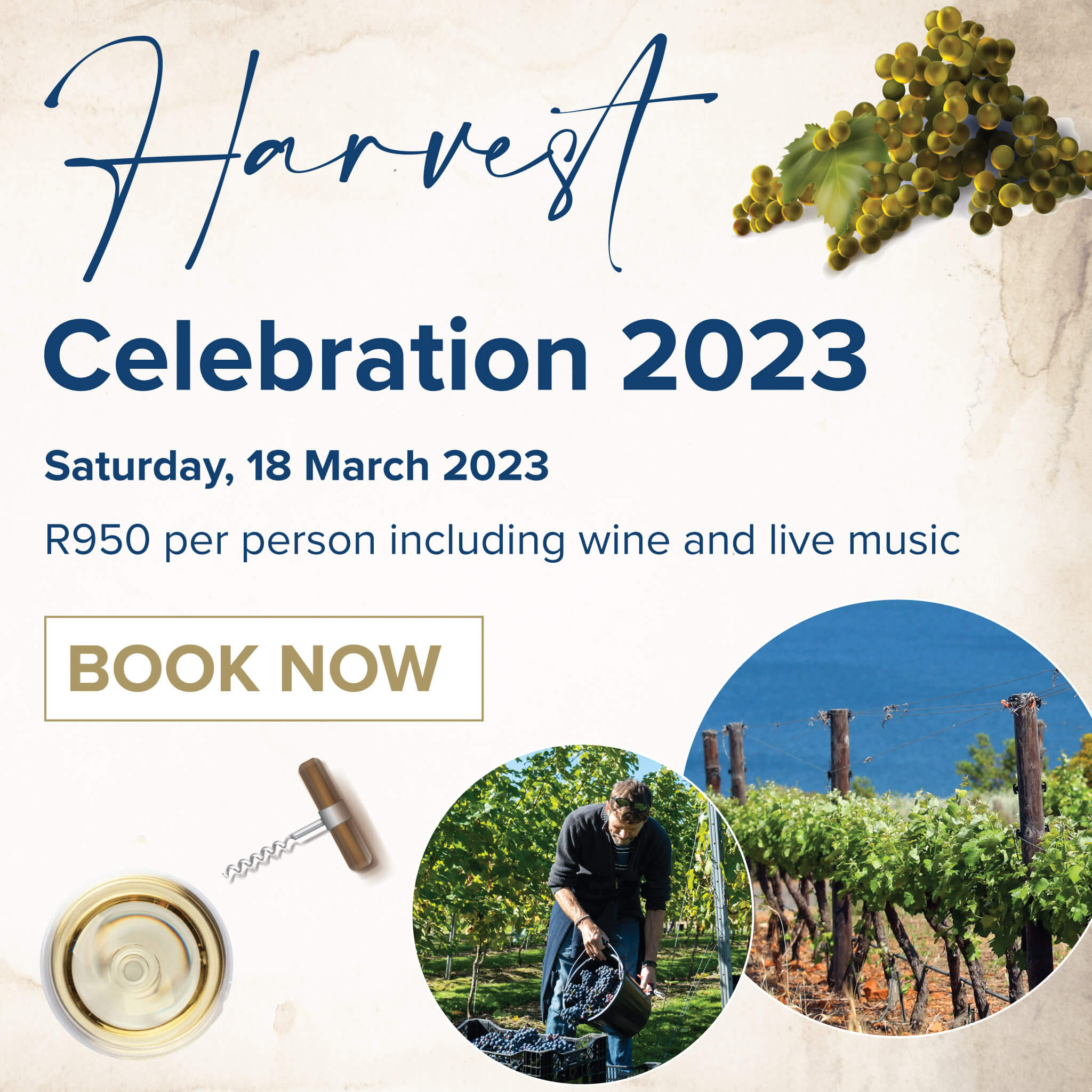 Book Now for the Harvest Celebration at Benguela Cove photo