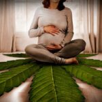 Cannabis Use During Pregnancy: Current Evidence And Potential Risks photo