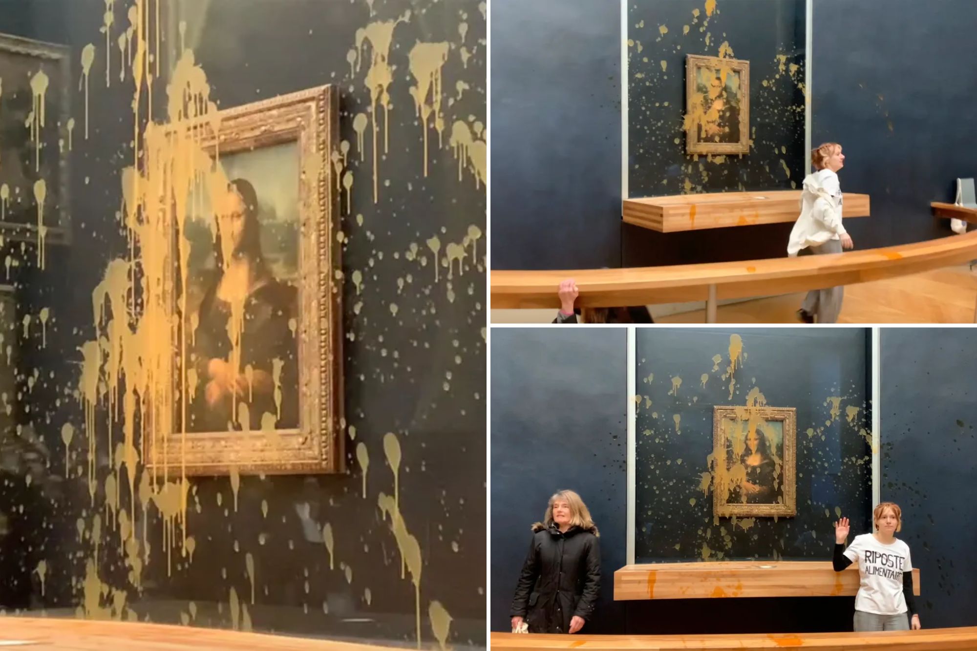 Food Activists Deface The Mona Lisa Painting With Canned Soup photo